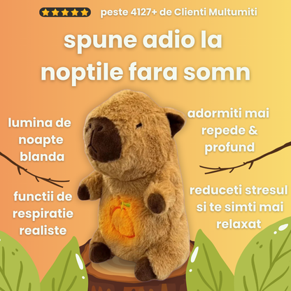 Capybara - prietenul calduros