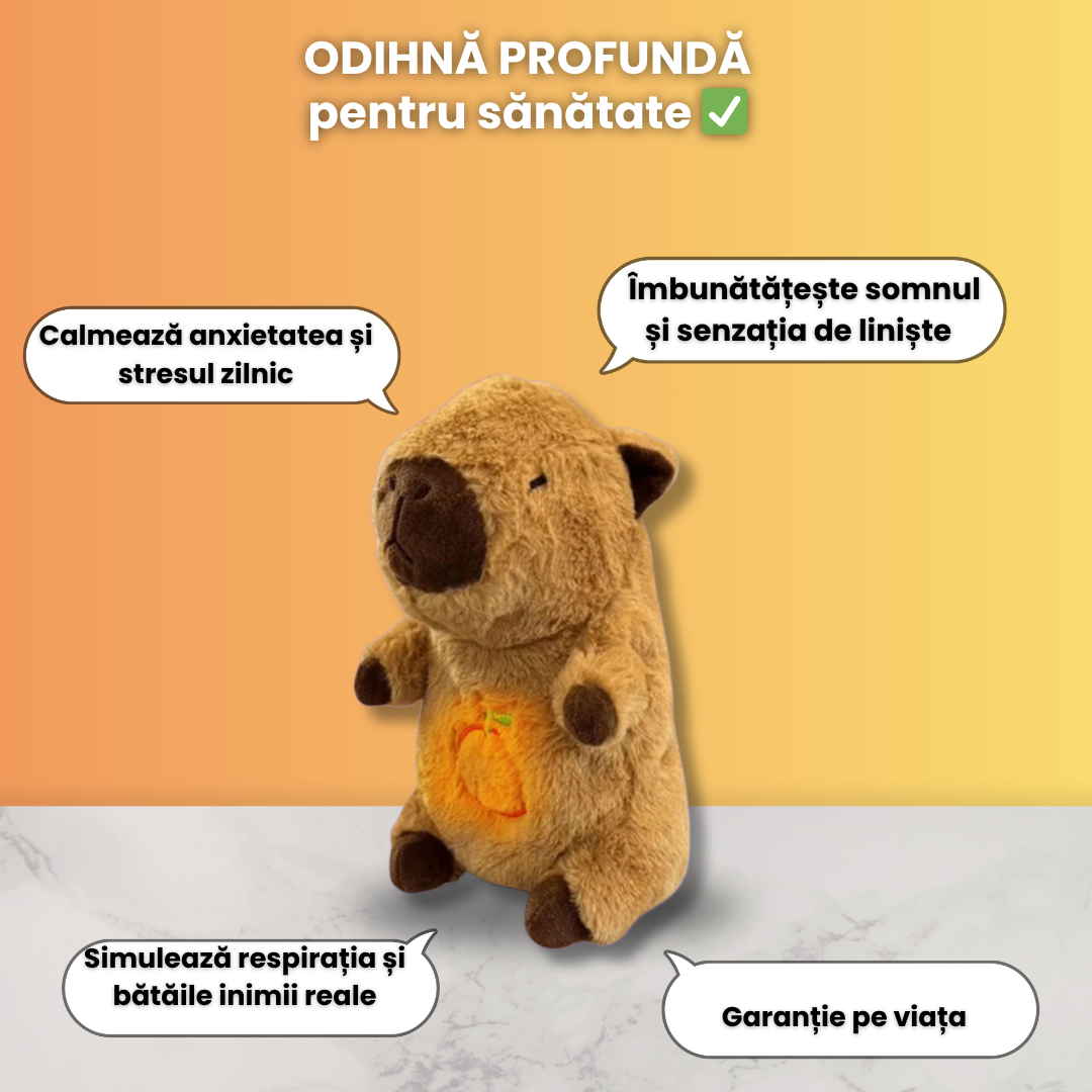 Capybara - prietenul calduros