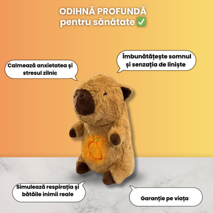 Capybara - prietenul calduros