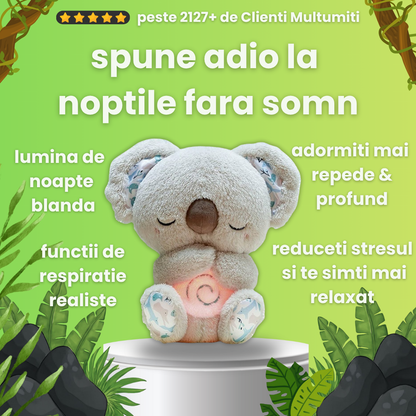 Koala – Prietenul Tău de Relaxare