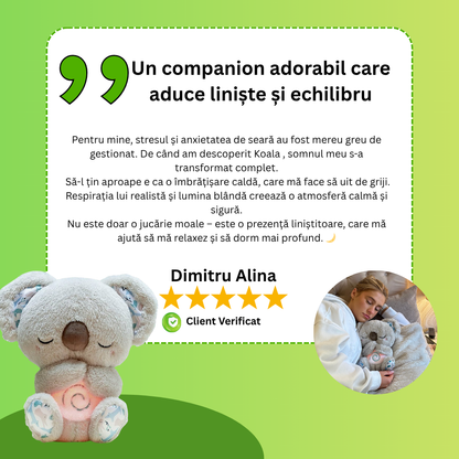 Koala – Prietenul Tău de Relaxare