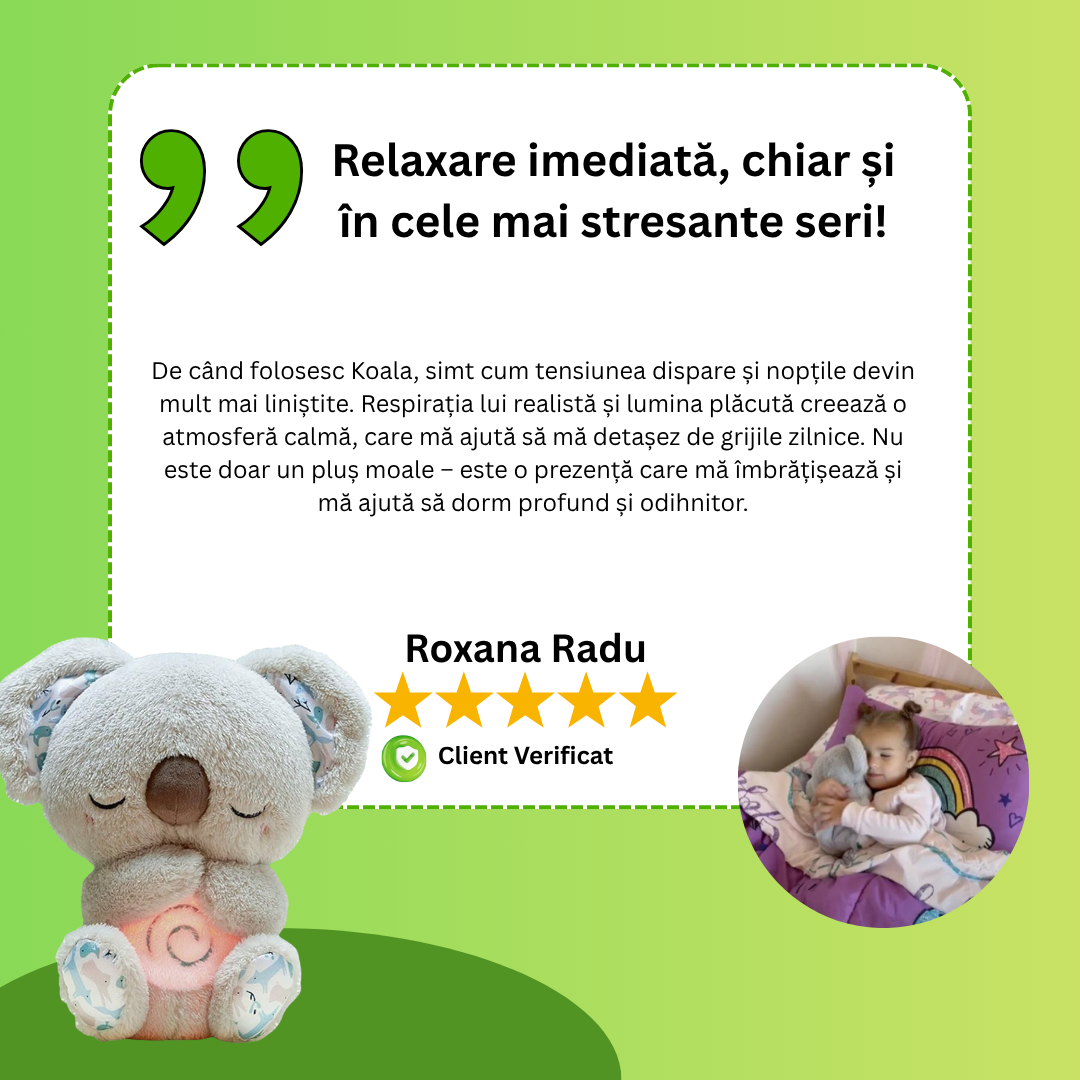 Koala – Prietenul Tău de Relaxare